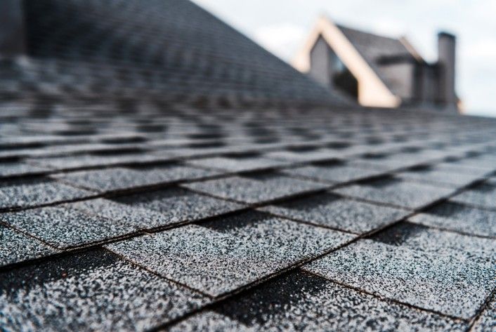 critically important to keep moss off your roof