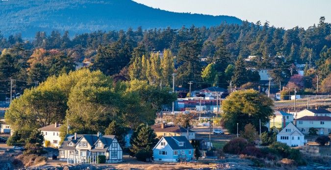 roof demossing in Victoria BC is best done by Thomson Roof Treatment