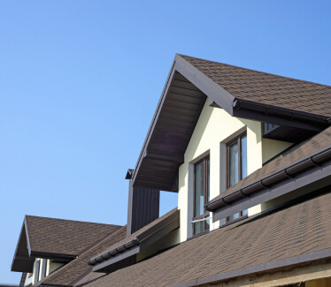 Moss removal service in Sooke