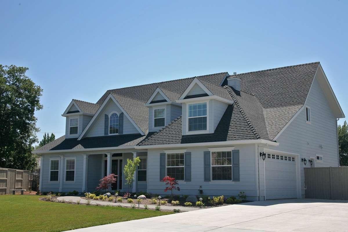 Roof Moss Removal Services