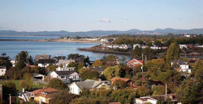 Removal your moss from your roof in Sooke