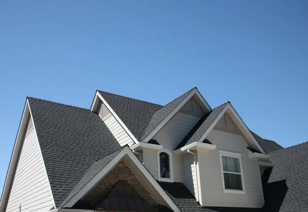 Roof Moss Removal Services in Victoria BC